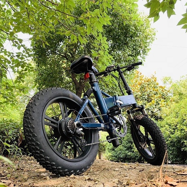 most popular 20 inch ebike folding electric fat tire bike