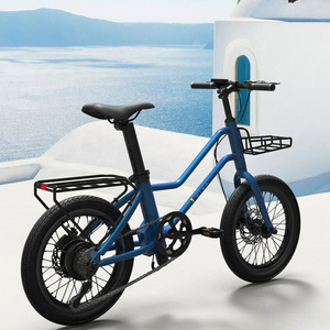 Hoya  e bike  20 inch spoken wheel electric bike unique style  fashion city electric bicycle  blue double tube city E-bike