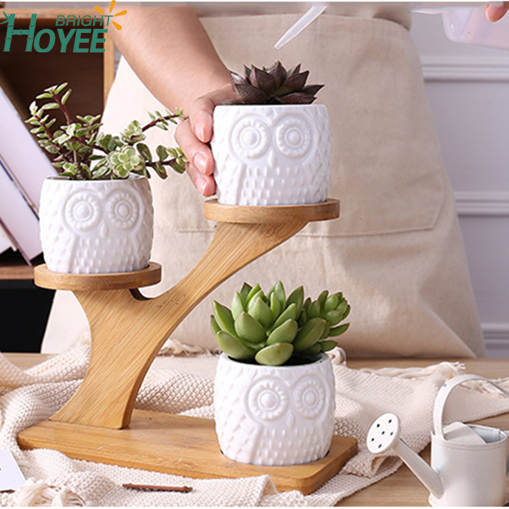 Decorative Small Owl Succulent Cactus Flower Plant Pot with Tree Tier Bamboo Stand