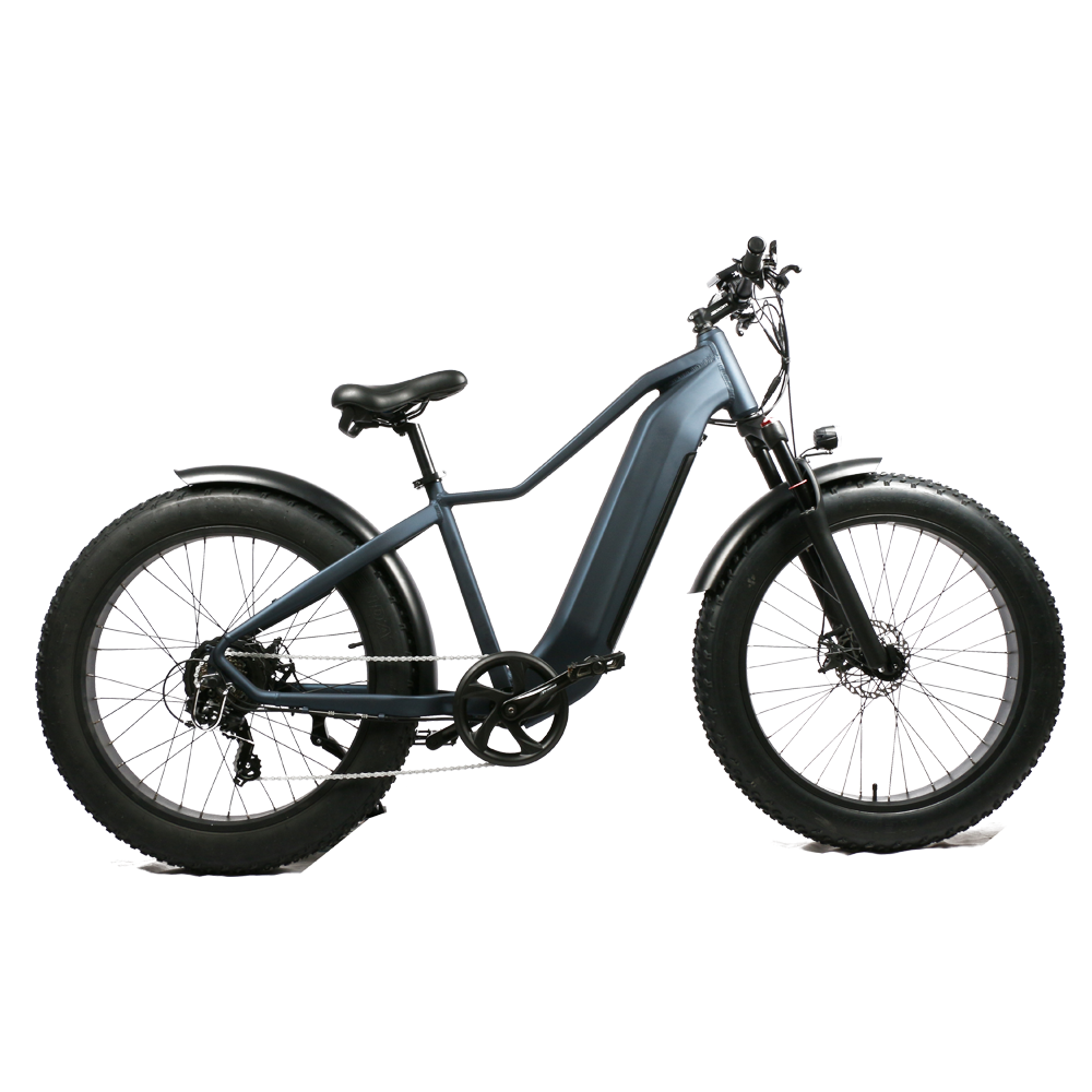 Fat tire ebike New style electric mountain bike for 10-30Ah hidden battery and 52V big power bike