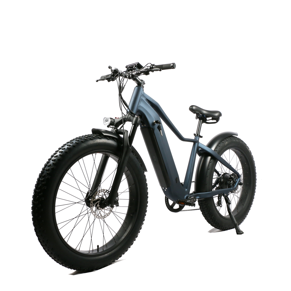 Fat tire ebike New style electric mountain bike for 10-30Ah hidden battery and 52V big power bike