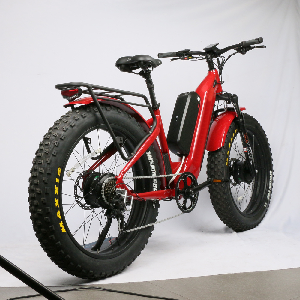 Factory directly 48v 52v 750w 1000w 2000w step through electric bicycle fat tire electric bike for adult