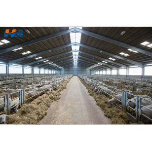 Low cost modern prefab steel structure sheep goat farm barn house dairy cow shed cattle farm building