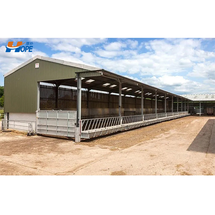 Low Cost Livestock Shelter Dairy Farm Shed For Live Cattle And Goat Shed