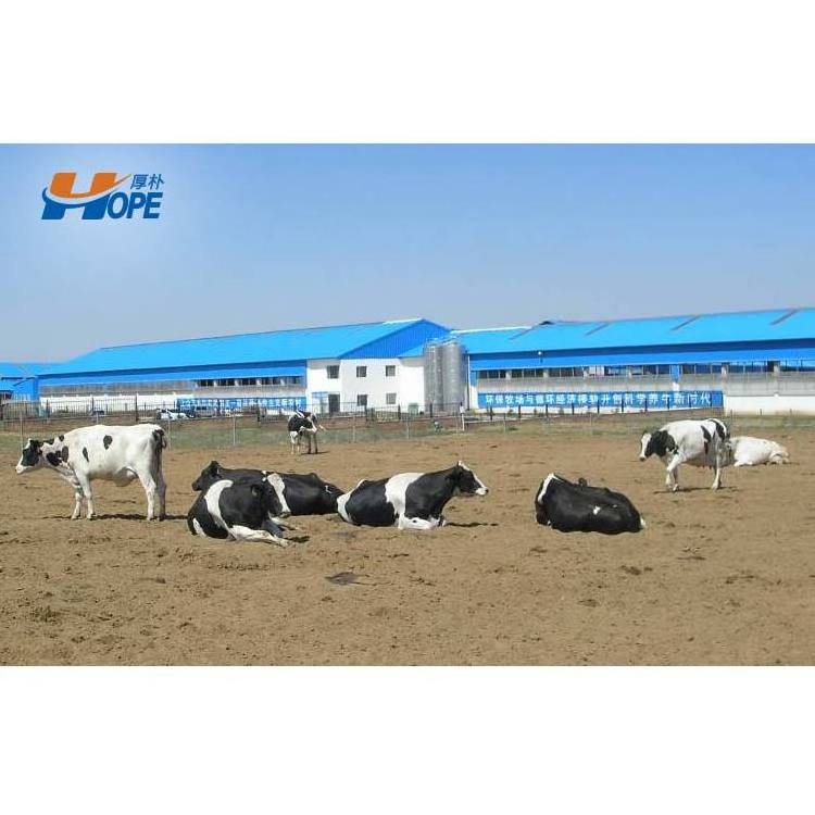 Prefab Steel Goat Farming House Dairy/donkey/sheep/cow/cattle Barns Shed Livestock Tent Shelter