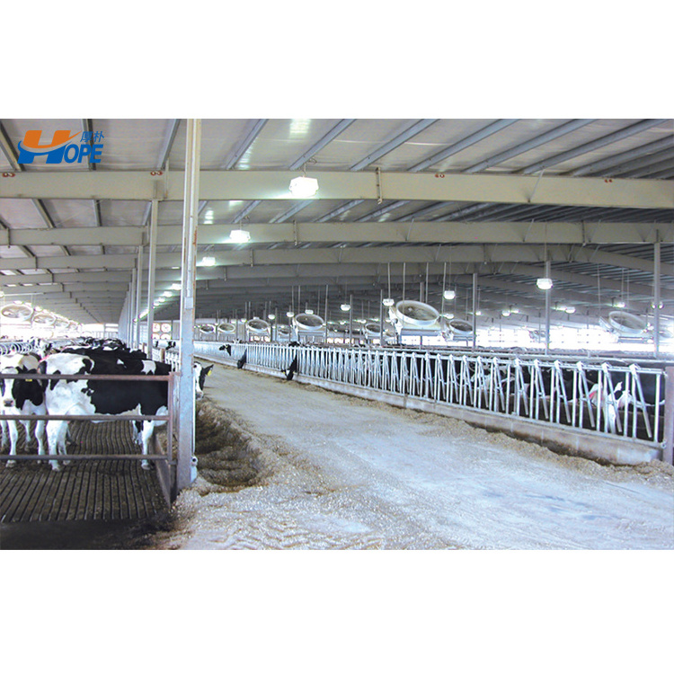 Low Cost Livestock Shelter Dairy Farm Shed For Live Cattle And Goat Shed