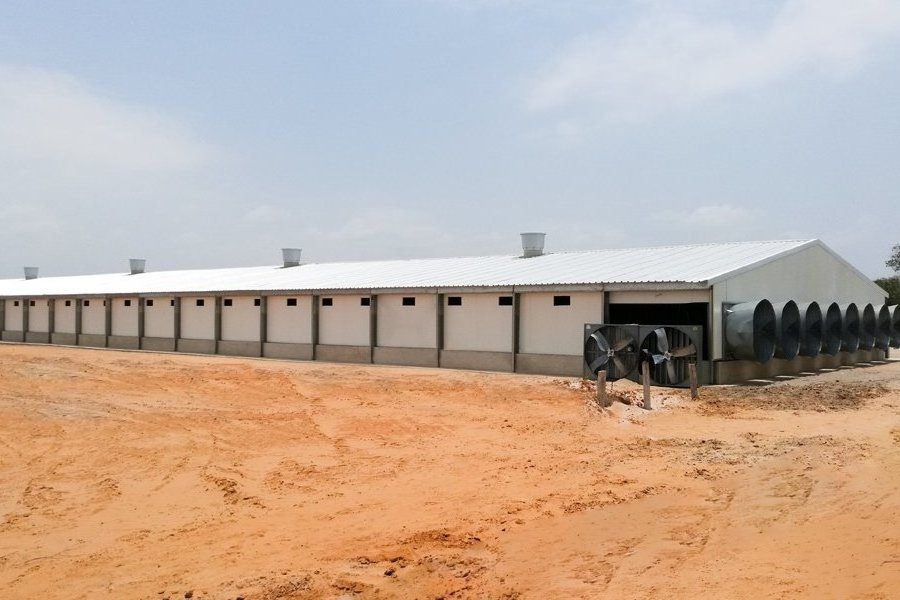 High quality prefab steel structure livestock animal cattle cow horse sheep shelter shed tent for sale