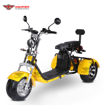 1000w 60v 12ah/ 20ah 2 removable portable battery fat tire 3 wheel off road electric scooter