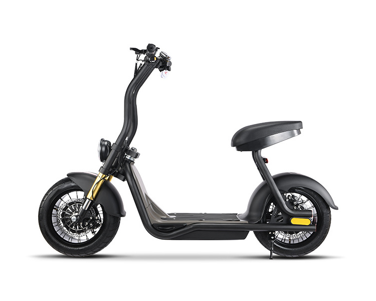 New Electric  48V Electric Off Road Scooters with two wheels monopattino elettric