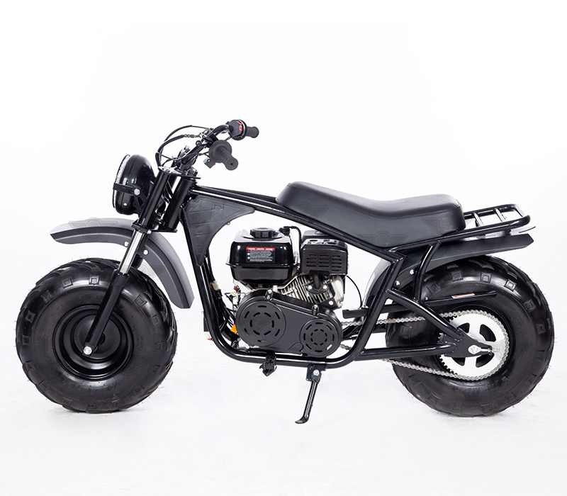 212cc motorized bicycle top speed online