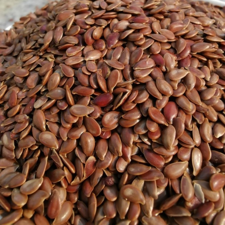 Wholesale Chinese good quality flax seed for oil pressing natural dried brown color linseed seed raw natural linseed flaxs