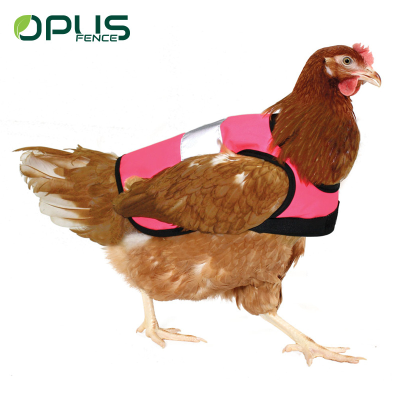 Yellow high-vis  chicken safety vest with reflective