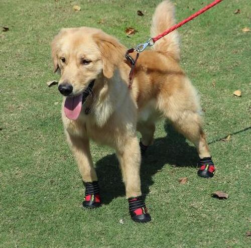 wholesale pet dog shoes pet shoes for dogs Waterproof dog rain boots with Anti-Slip Sole