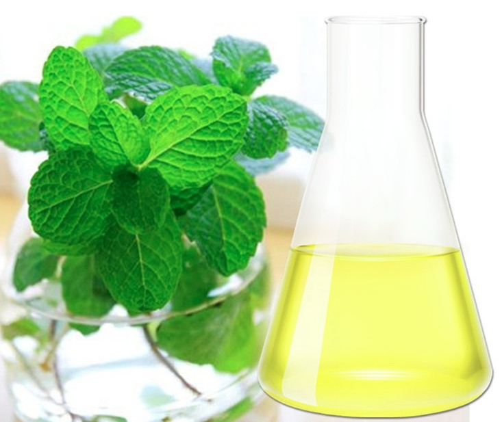 Peppermint oil Essence and fragrance