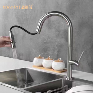 Modern Sprayer Nozzle Mixer Kitchen Sink 304 Stainless Steel Design Kitchen Faucet