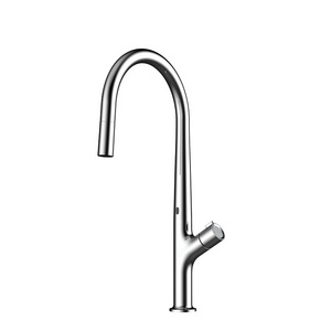 High Quality Brass Pull Out Two Function Water Tap Kitchen Faucet