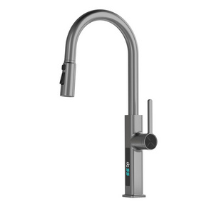 Home Hotel Modern Luxury Kitchen Faucets With Pull Out Spout Faucet Kitchen Sink