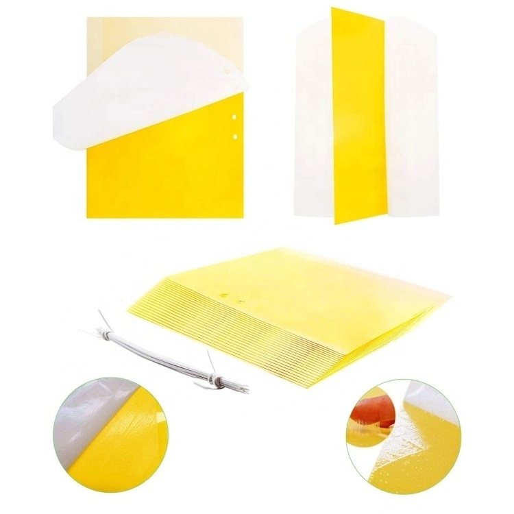 Hot Sale Sticky Yellow Fly Trap Mosquito Insect Glue Trap