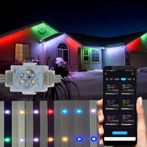 Permanent Christmas Light Outdoor Waterproof IP68 Led Point Lights permanent outdoor lights