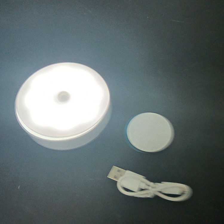 Battery Powered Motion Sensor Led Light