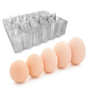 Customized Wholesale Transparent Blister Packaging 12 Holes Plastic Quail Egg Tray