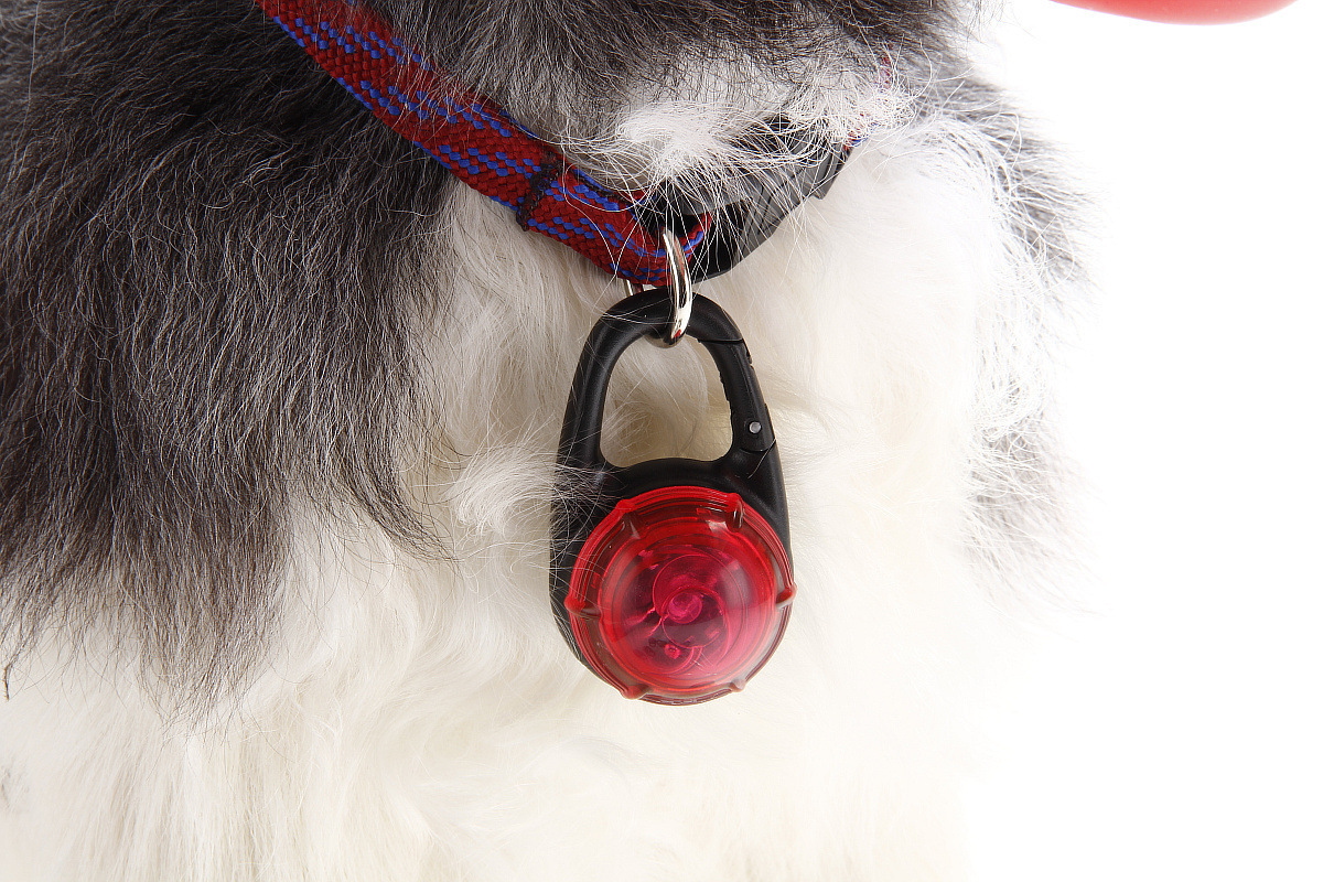 Hot Sales Pet Dog Cat Tag Lights Dog Night Walking Safety Lights Waterproof Clip-on Pet Collar Lights