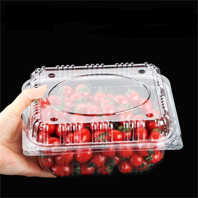 Wholesale Takeaway fruit cake clamshell containers PET plastic storage boxes fruit packaging with lid