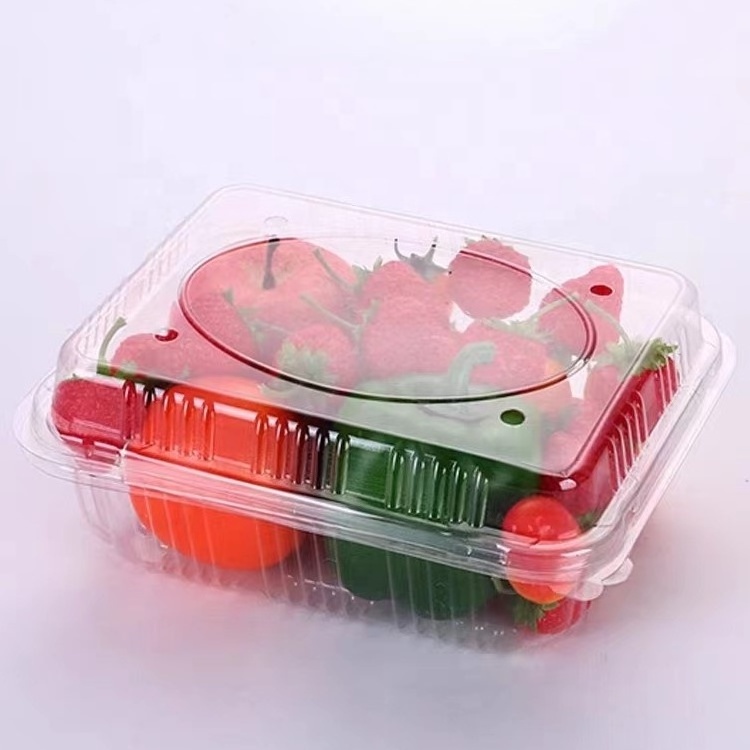 Wholesale Takeaway fruit cake clamshell containers PET plastic storage boxes fruit packaging with lid