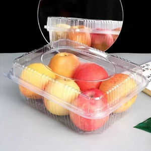 Wholesale Takeaway fruit cake clamshell containers PET plastic storage boxes fruit packaging with lid