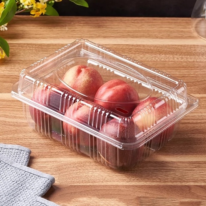 Wholesale Takeaway fruit cake clamshell containers PET plastic storage boxes fruit packaging with lid