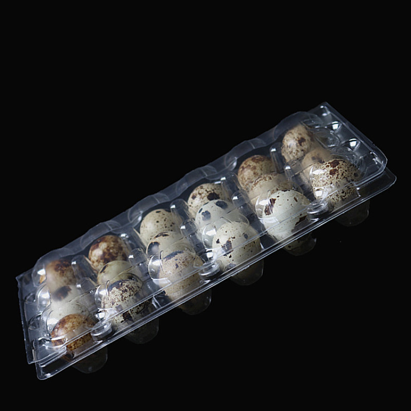 Custom Clear Quail Egg Cartons With 12  24 30 Holes  plastic Quail Egg container