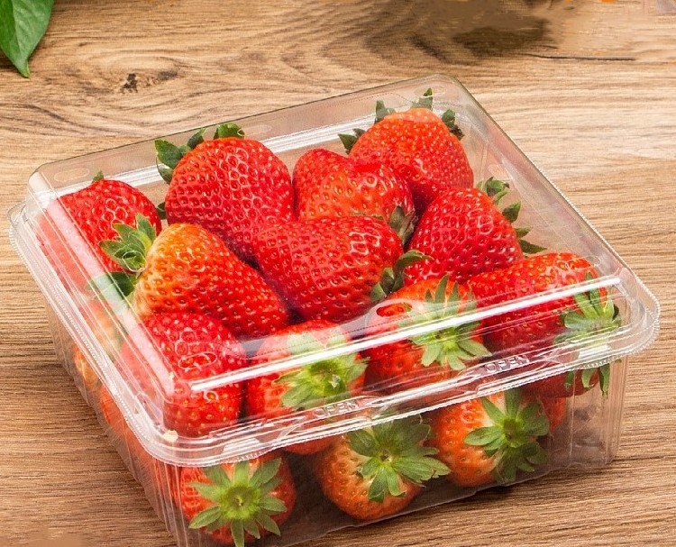 Eco-friendly custom vented clear plastic strawberry packaging box 250g 500g fresh fruit clamshell container rpet punnets