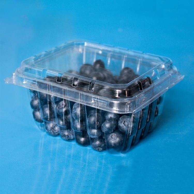 Eco-friendly custom vented clear plastic strawberry packaging box 250g 500g fresh fruit clamshell container rpet punnets