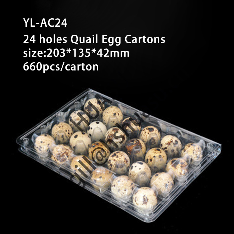 Custom Clear Quail Egg Cartons With 12  24 30 Holes  plastic Quail Egg container