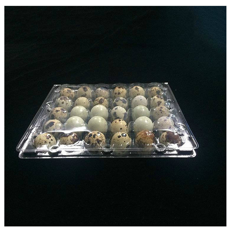 Custom Clear Quail Egg Cartons With 12  24 30 Holes  plastic Quail Egg container