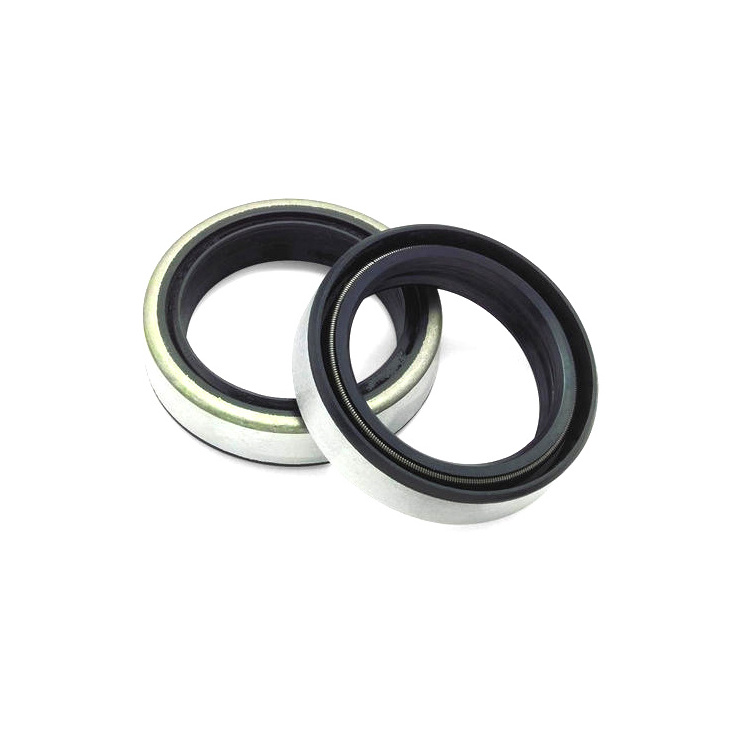 Good Quality China Brand Oil Seal NOIC Rubber Nbr Fkm Oil Seal TG TC Skeleton Oil seals