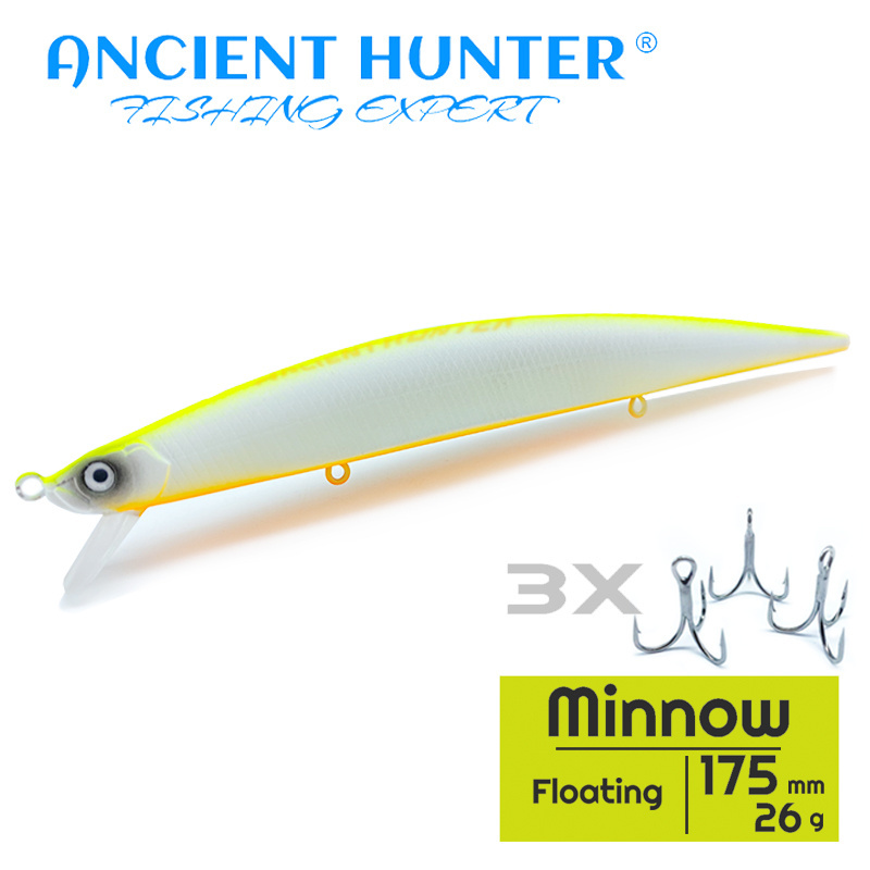 Ancient Hunter TMD-1055 Ocean Minnow Bait Fishing Lure 175mm/26g Floating 1.5M Steel ball plus lead Long shot Artificial Bait