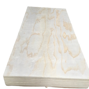 pakistan price birch sheet 18mm construction used marine plywood for sale