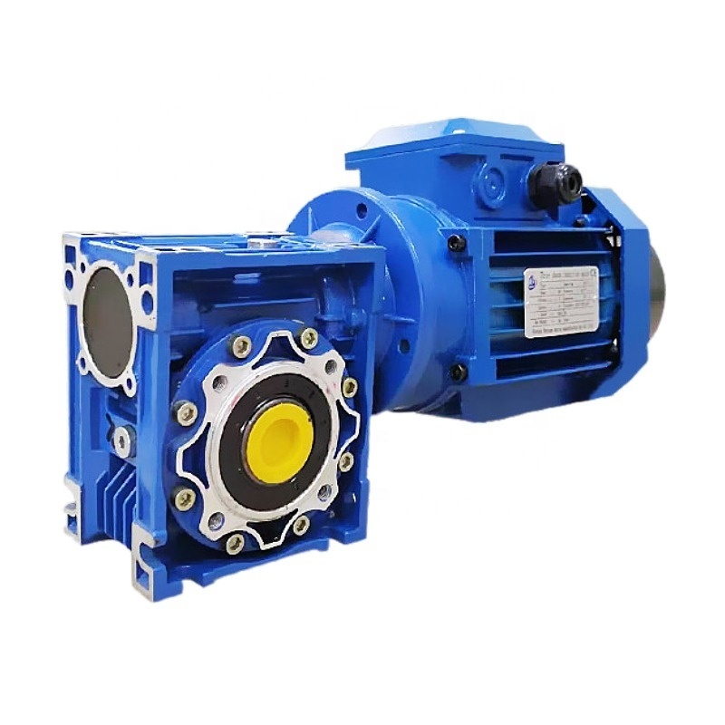 Three phases 380V single phase 220V  ac gear motor 220v for conveyor worm gear motor