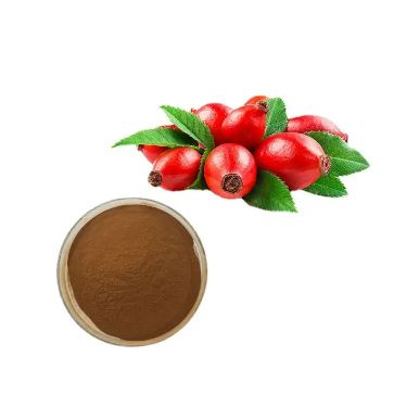 Natrual  Rosehip Extract Rose Hip Fruit Extract Powder Rose Hip Extract