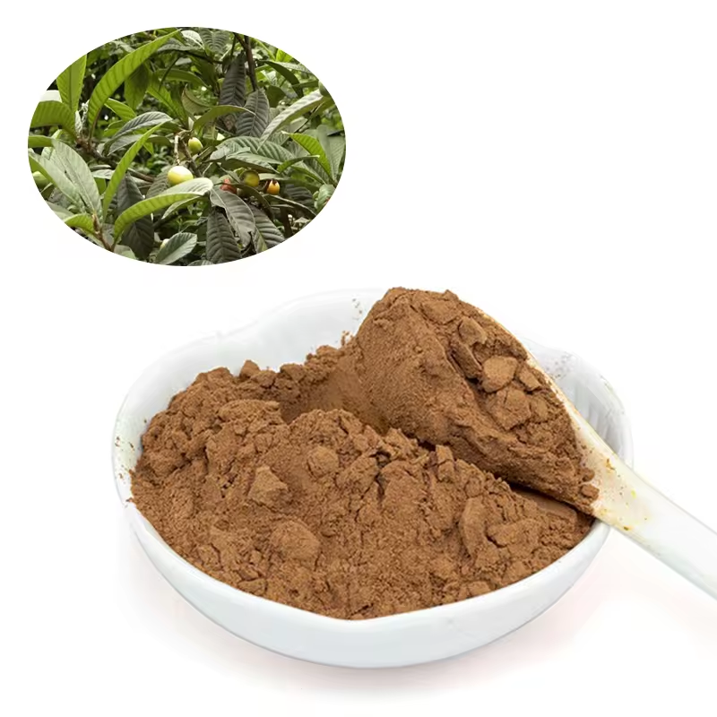 High Quality Loquat Leaf Extract Corosolic Acid 50% 98% Ursolic Acid With Factory Price