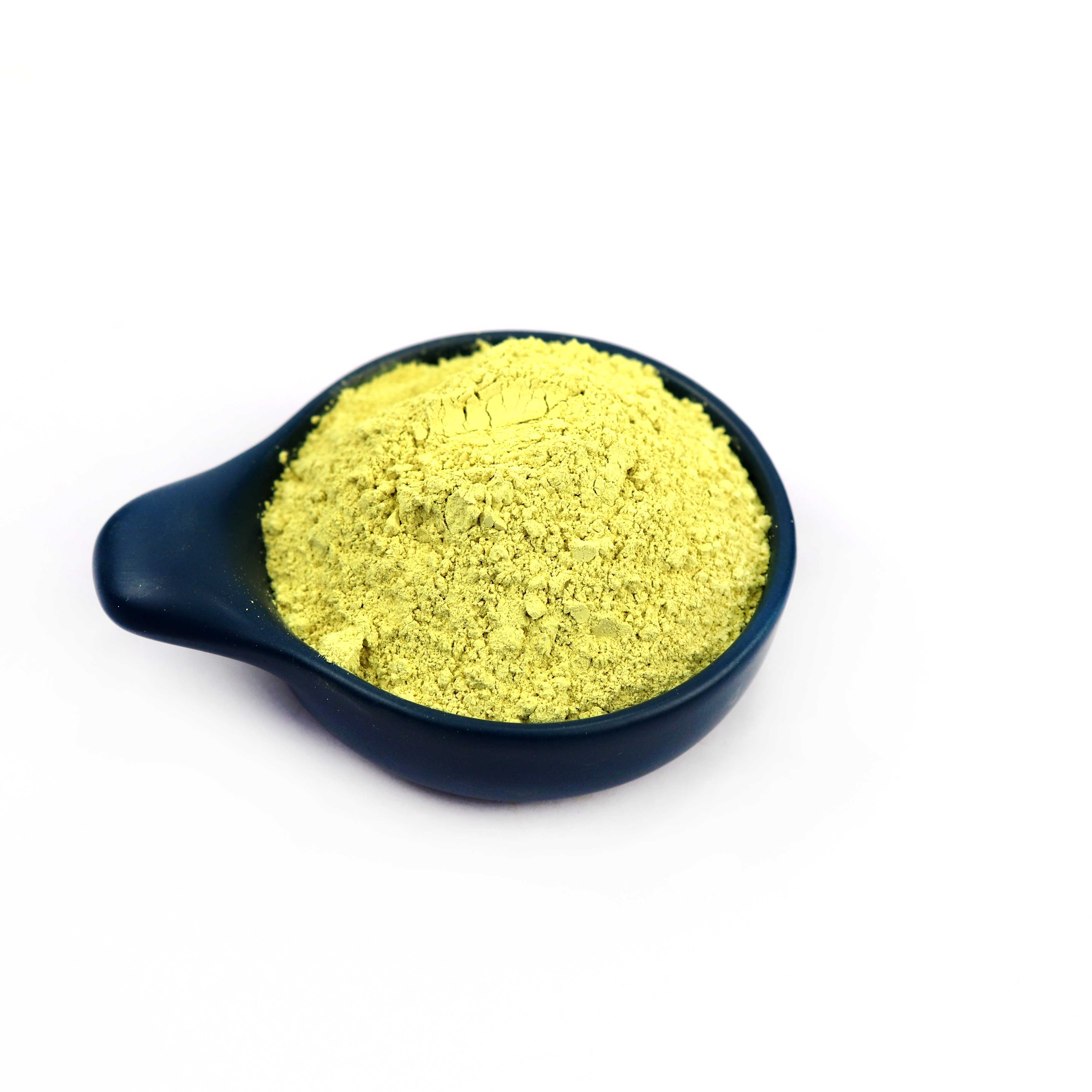 GMP Standard Best Price Natural Sophora Japonica Extract NF1195%/10-DAB 98% Rutin Powder