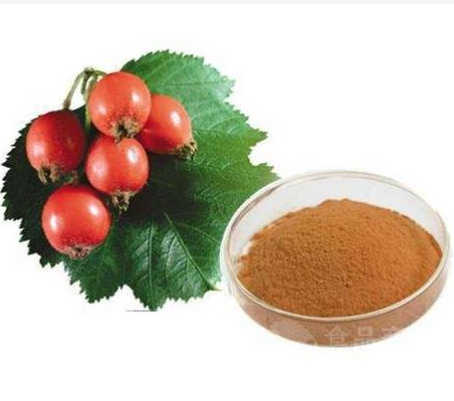 Natrual  Rosehip Extract Rose Hip Fruit Extract Powder Rose Hip Extract