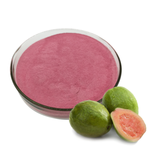 Water Soluble Guava Extract Guava Leaf Extract Guava Fruit Juice Powder