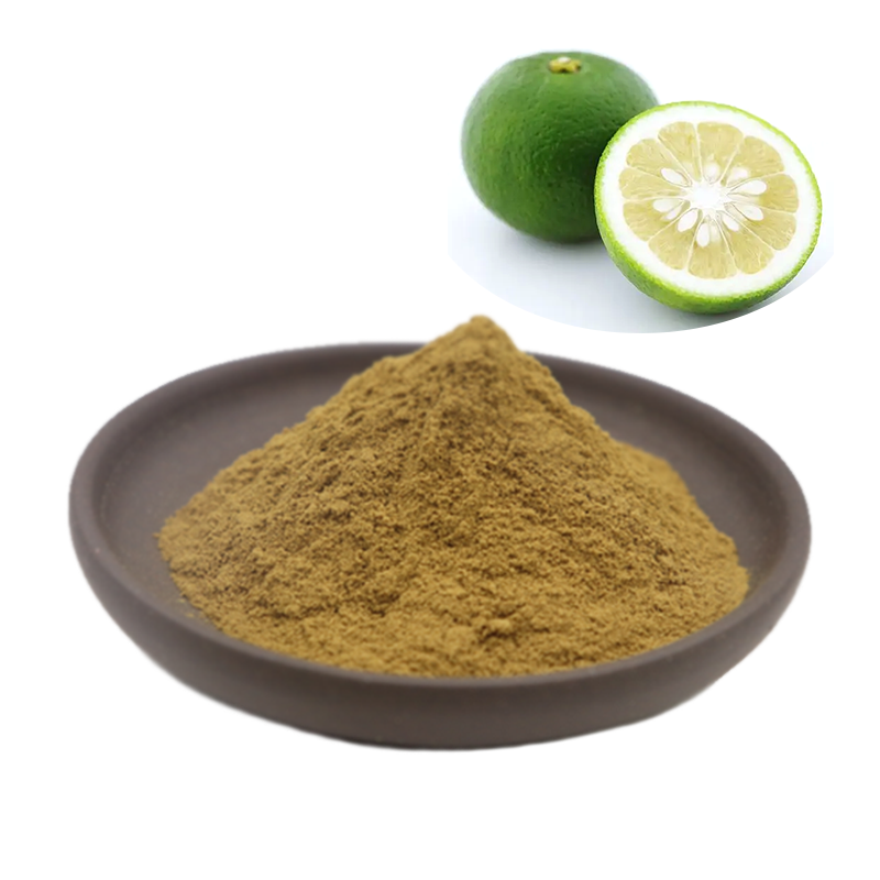 High Quality Citrus Aurantium Extract Bitter Orange Extract 6%~98% HCL Synephrine Powder