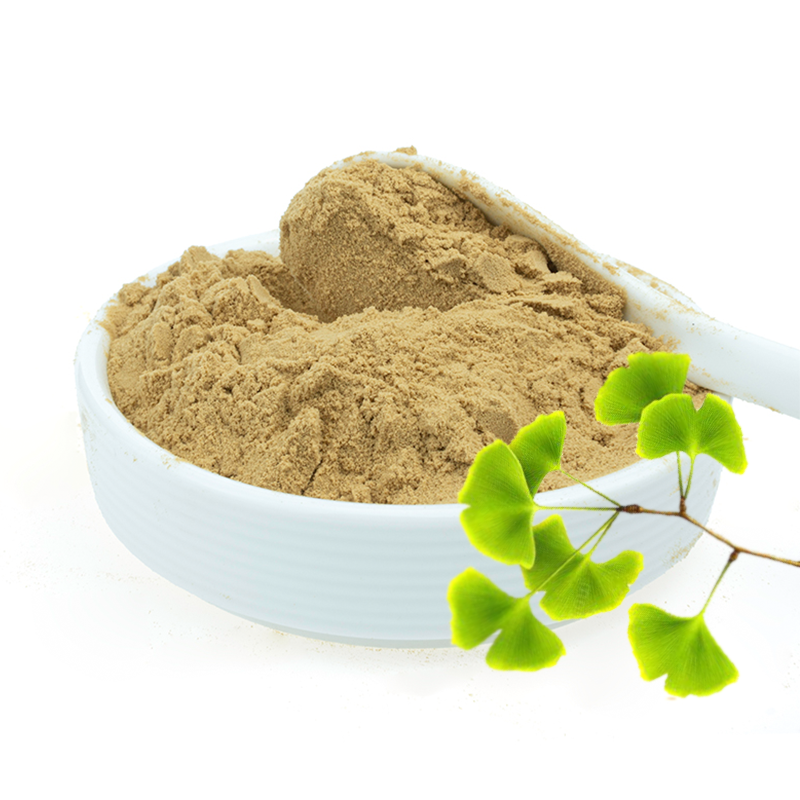 Halal Certification Ginkgo Biloba Extract Powder 24% Flavonoids 6% Lactone Ginkgo Biloba Extract Capsules With Factory Price