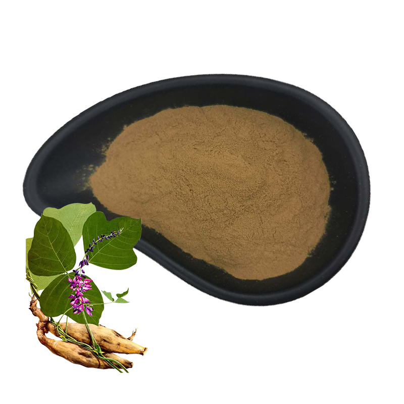 High Quality Loquat Leaf Extract Corosolic Acid 50% 98% Ursolic Acid With Factory Price