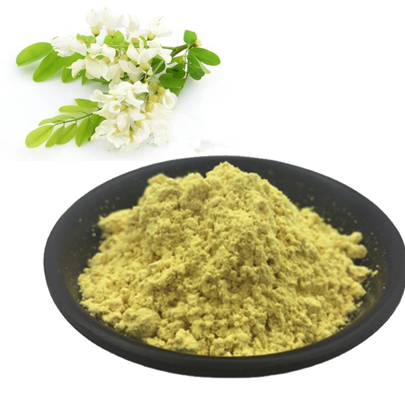 GMP Standard Best Price Natural Sophora Japonica Extract NF1195%/10-DAB 98% Rutin Powder