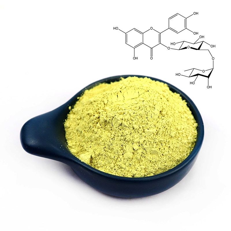 GMP Standard Best Price Natural Sophora Japonica Extract NF1195%/10-DAB 98% Rutin Powder