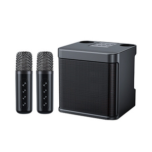 Home HiFi  karaoke wireless microphone conference speaker YS-203 with BT For home ktv Amplified Sound Box